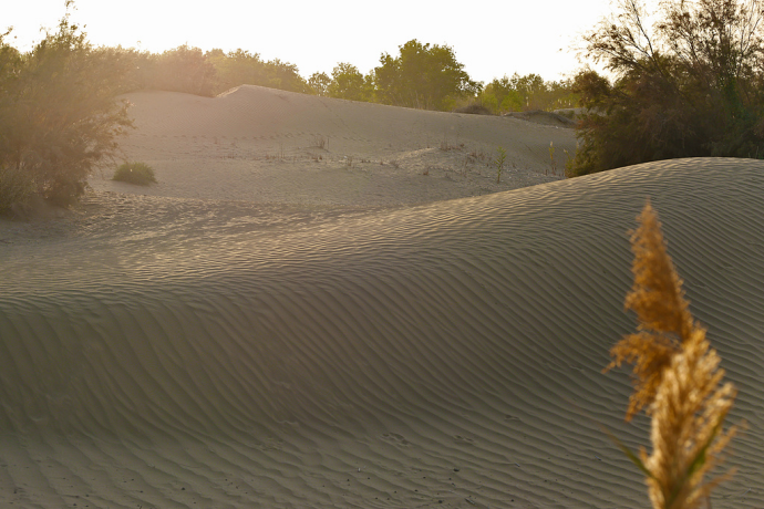 Chinese Scientists Make Discovery in Midlatitude Asian Deserts