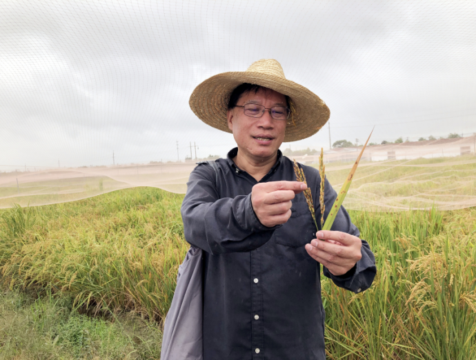 Chinese Scientists Achieve Possible Breakthrough in Plant Diseases