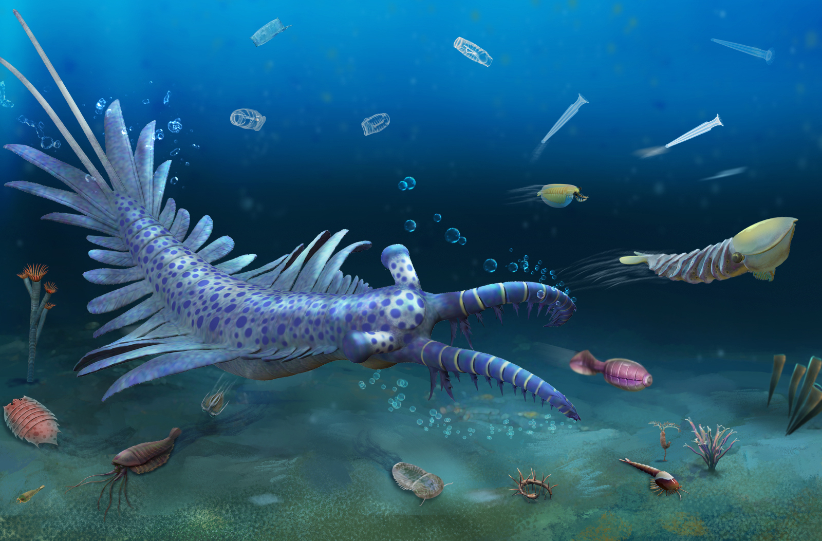 Huayuan Biota Decodes Earth's First Phanerozoic Mass Extinction