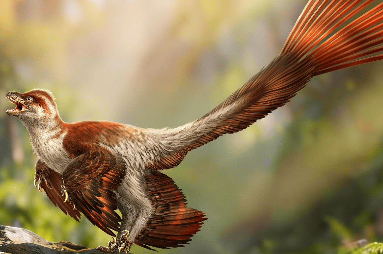 Chinese Scientists Discover New Feathered Dinosaur Species