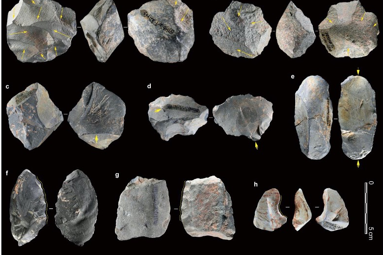 Ancient Proteins Reveal Denisovans' Survival Landscape in South China for the First Time